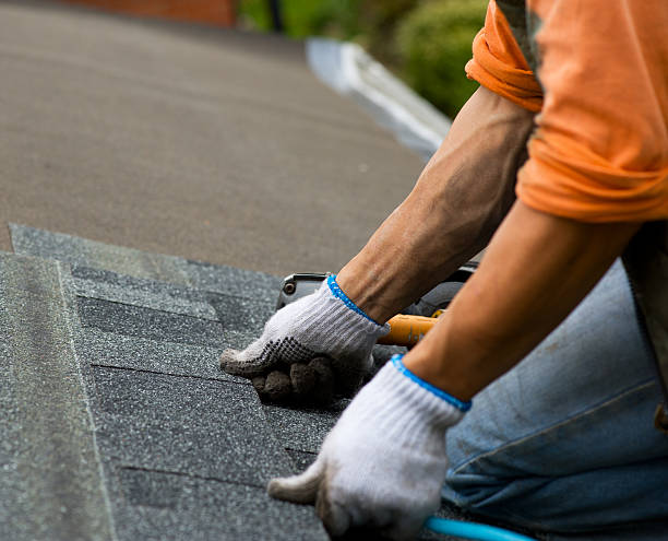 Best Shingle Roofing Installation  in Clinton, TN